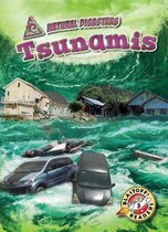 Natural Disasters- Tsunamis