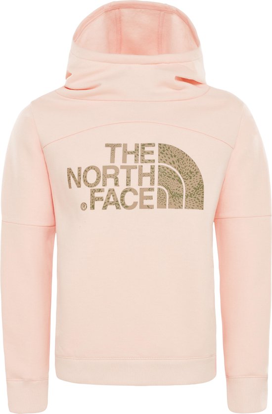 the north face hoodie kind