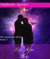 The Soulmate Series 1 - Life After Love