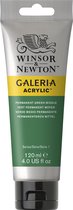 Winsor & Newton Galeria Acryl 120ml Permanent Green Med