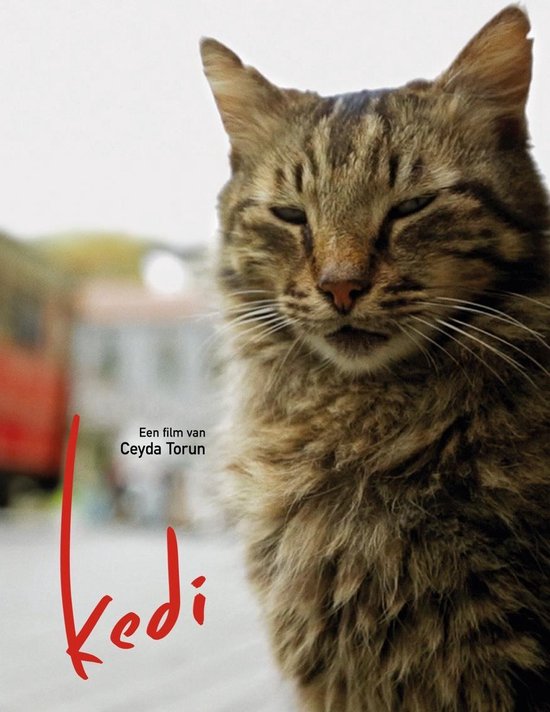 Kedi (DVD) (Import geen NL ondertiteling)