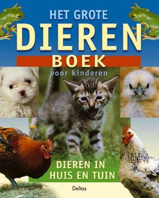 Grote Dierenboek Voor Kinderen