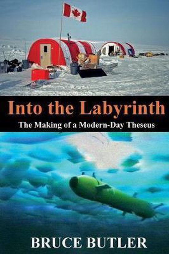Into the Labyrinth - cover
