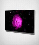 Pink Flower Canvas - 60 x 40 cm - Bloemen - Schilderij - Canvas - Slaapkamer - Wanddecoratie  - Slaapkamer - Foto op canvas