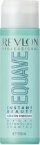 Revlon - Equave - Instant Beauty - Shampooing Hydro Démêlant - 250 ml