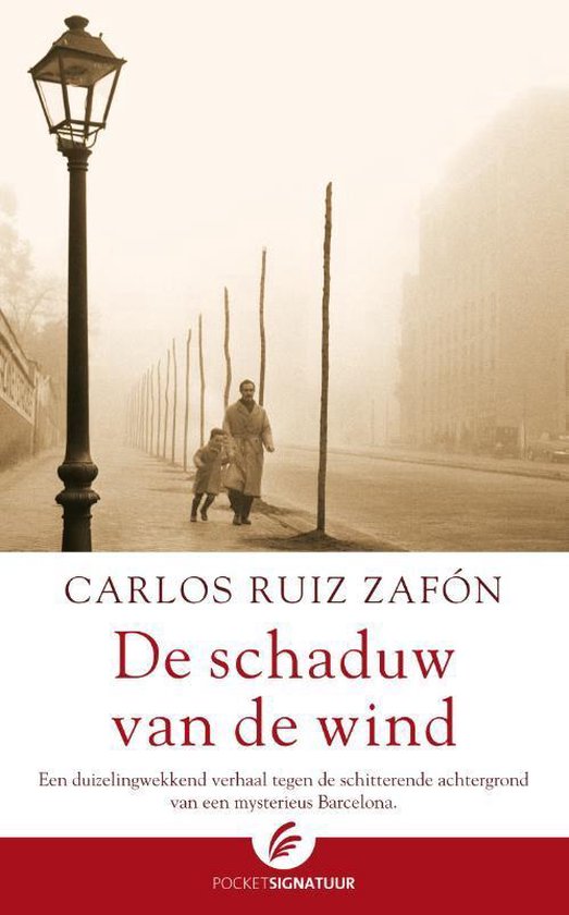 Het Kerkhof der Vergeten Boeken 1 - De schaduw van de wind - Carlos Ruiz Zafon | Nextbestfoodprocessors.com