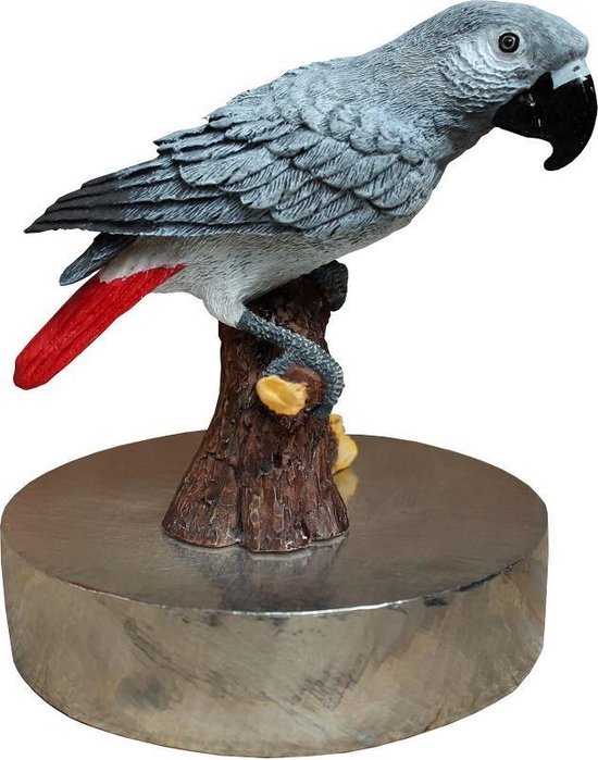 zilvertinnen urn Grijze Roodstaart papegaai vogelurn