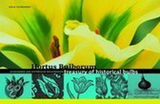 Hortus Bulborum