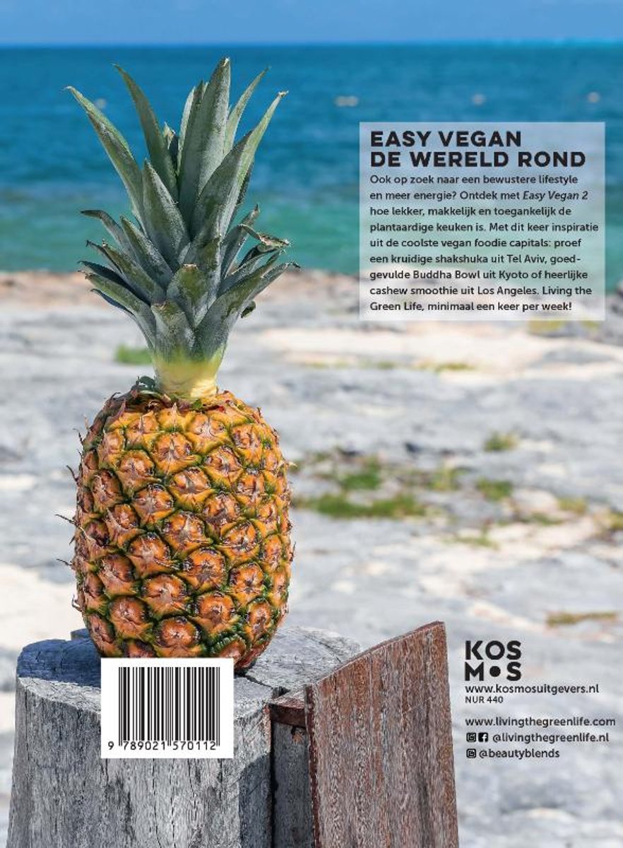 Easy Vegan 2 - back cover