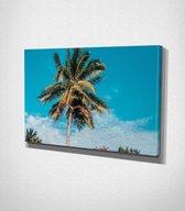 Sky Behind Palm Tree - 80 x 120 cm - Landschap - Schilderij - Canvas - Slaapkamer - Wanddecoratie  - Slaapkamer - Foto op canvas