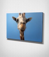 Giraffe Close Up Canvas | 80x120 cm