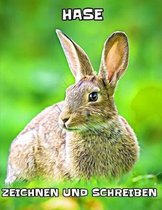 Hase