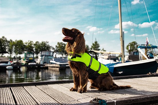 Nobby - Honden Zwemvest - Geel - XS - Voor Honden tot 8 KG