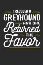 I Rescued a Greyhound and She Returned the Favor