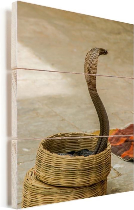 Bol Com Indische Cobra Slang In Een Mand Vurenhout Met Planken 20x30 Cm Klein Foto Print