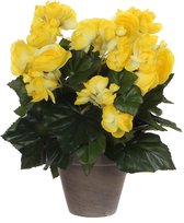 Kunstplant Begonia Geel - H 30cm - Keramiek sierpot - Mica Decorations