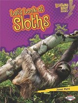 Lets Look at Sloths