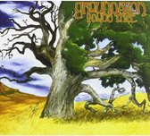 Groundation - Young Tree (CD)