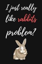 I Just Really Like Rabbits, Problem?