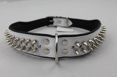 Dog's Companion - Leren halsband - met spikes - Wit/Zwart - 60-73cmx50 mm - Lengte: 75cm (50 mm), Kleur: Wit / Zwart