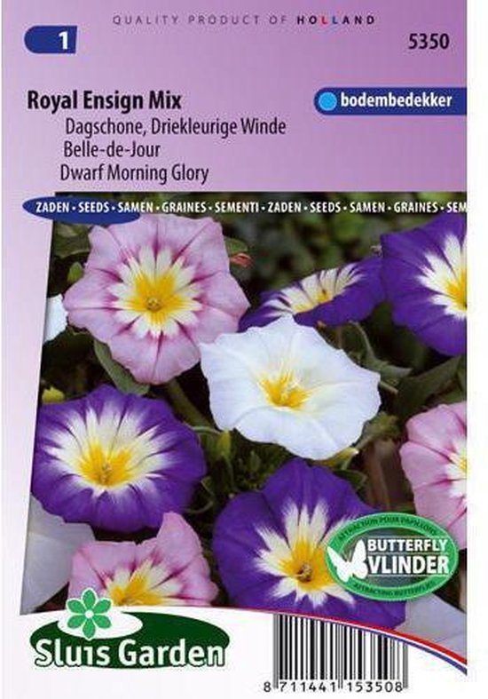 Sluis Garden - Dagschone, Driekleurige Winde Royal Ensign mix
