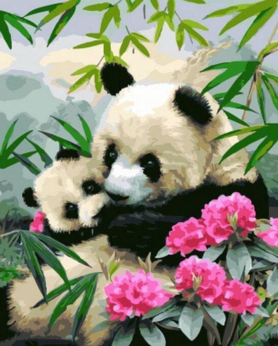 Schilderen op nummer Volwassenen Panda moeder met kleintje - 40 x 50 centimeter