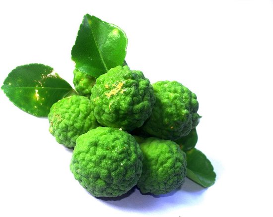 Bergamot Olie 10ml - Pure Etherische Bergamotolie van Bergamotschillen