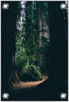 Tuinposter Midden in het Bos 80x120cm- Foto op Tuinposter (wanddecoratie voor buiten en binnen)