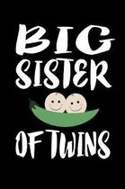 Big Sister Of Twins