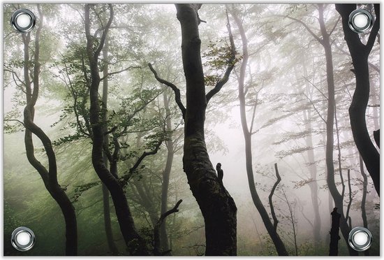 Tuinposter Mistig Bos 120x80cm- Foto op Tuinposter (wanddecoratie voor buiten en binnen)