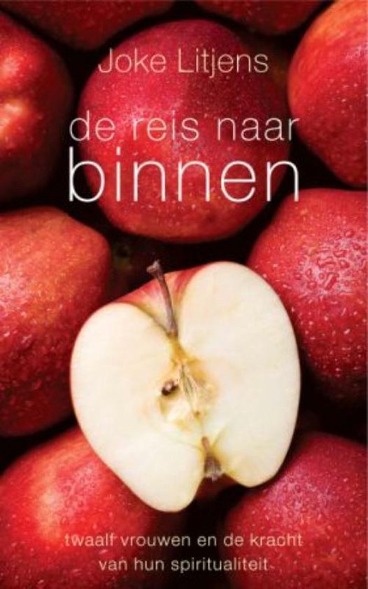 Cover van het boek 'De reis naar binnen'