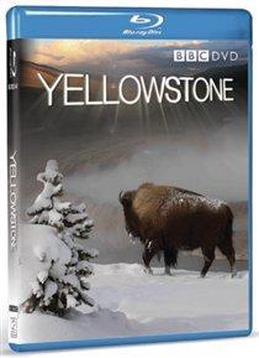 Yellowstone (Import)