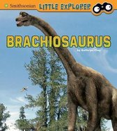 Little Paleontologist- Brachiosaurus