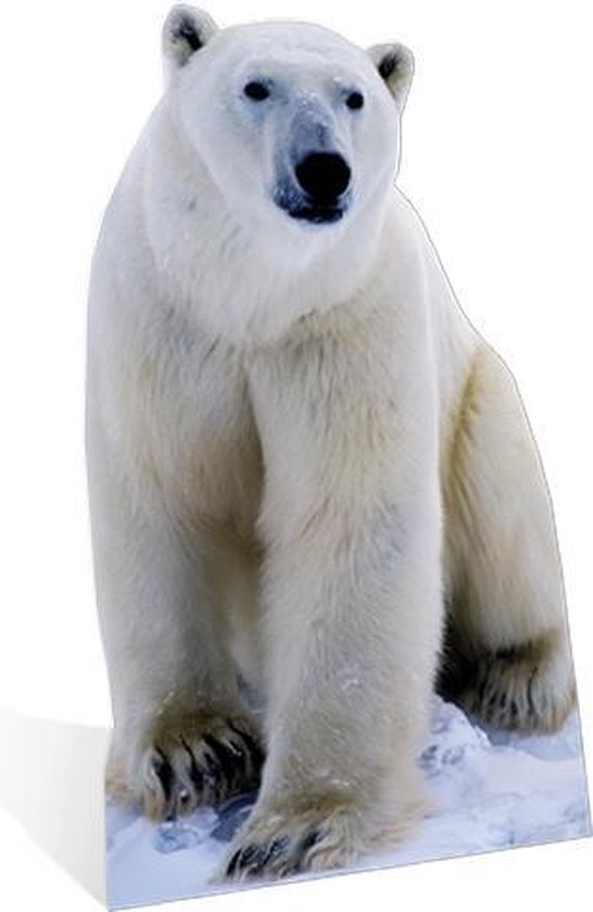 Overeenkomstig Tactiel gevoel Makkelijk te lezen Groot decoratiebord ijsbeer 176 cm | bol.com