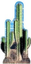 Groot decoratie bord cactus