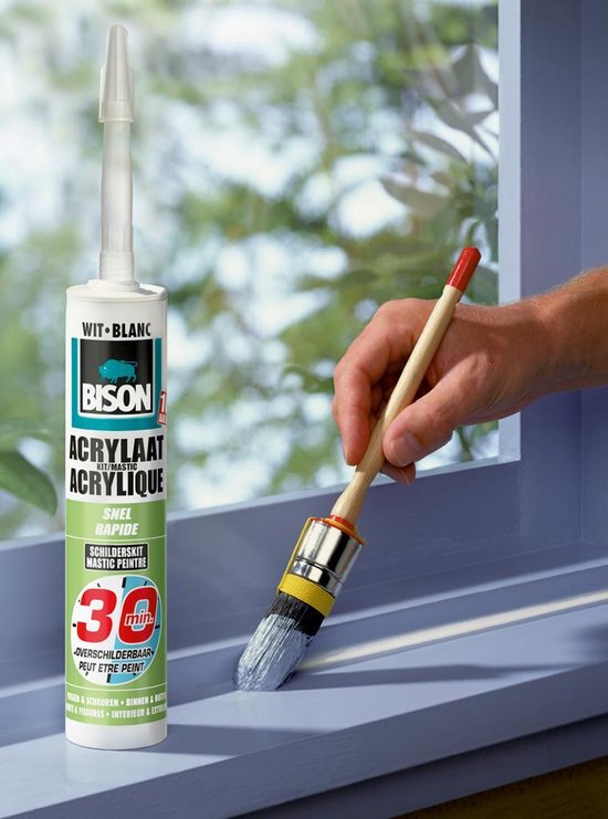 Bison Acrylaatkit 30 Minuten Overschilderbaar 310 ml
