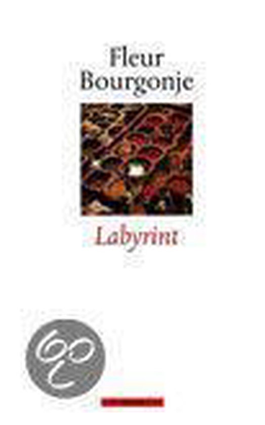 9789045009933 - Labyrint