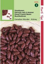 Hortitops zaden - Stam- of struikbonen Canadian Wonder (Kidney) 15 gram