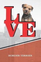 Border Terrier