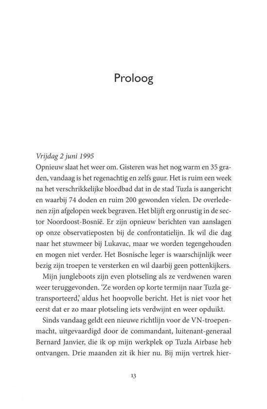 De Srebrenica-dagboeken