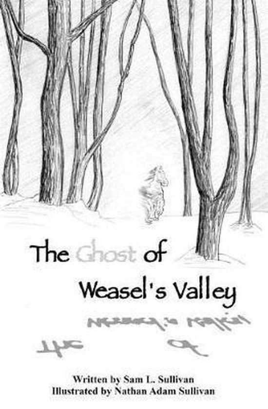The Ghost of Weasel's Valley - cover