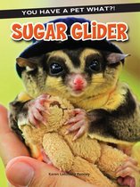 You Have a Pet What?! - Sugar Glider
