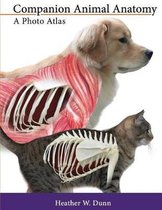 Companion Animal Anatomy