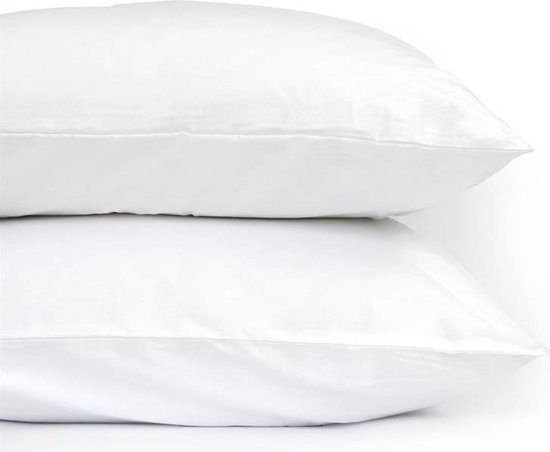 Snoozing Flanel Kussenslopen Set van 2 60x70 cm Hemel kopen