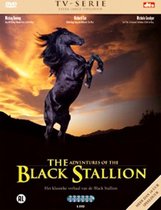 Black Stallion Box