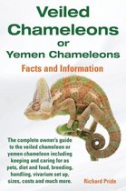 Veiled Chameleons or Yemen Chameleons