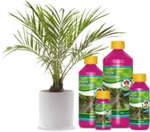 Wilma Palm voeding 1 ltr