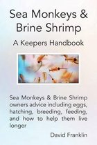 Sea Monkeys & Brine Shrimp