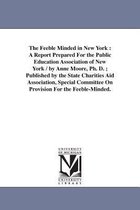 The Feeble Minded in New York
