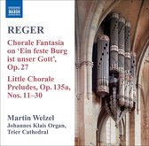 Welzel - Organ Music Volume 8 (CD)